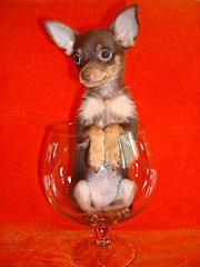 click for enlarge 400 X 533 29,2 Kb picture