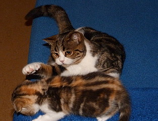 click for enlarge 783 X 600 148,1 Kb picture