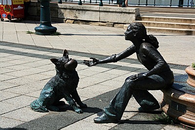 click for enlarge 800 X 534 158,2 Kb picture