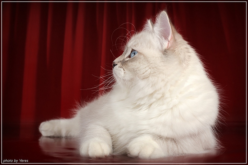 click for enlarge 1024 X 683 204,7 Kb picture