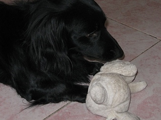 click for enlarge 448 X 336  55,5 Kb picture