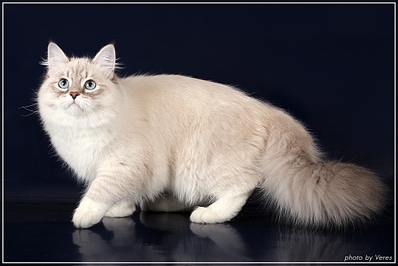 click for enlarge 1024 X 683 251,9 Kb picture