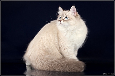 click for enlarge 1024 X 683 239,4 Kb picture