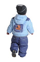 click for enlarge 390 X 600 35,5 Kb picture