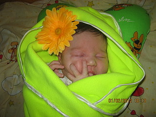 click for enlarge 1600 X 1200 559,3 Kb picture