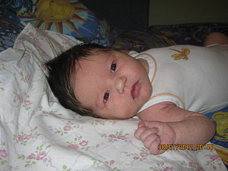 click for enlarge 1600 X 1200 487,6 Kb picture
