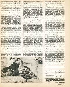 click for enlarge 1920 X 2393 940,2 Kb picture