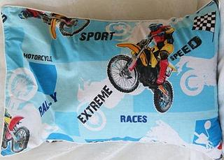 click for enlarge 448 X 321  32,4 Kb picture