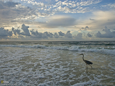 click for enlarge 1024 X 768 216,7 Kb picture