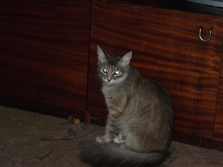 click for enlarge 1920 X 1440 944,1 Kb picture