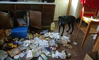 click for enlarge 640 X 389 46,1 Kb picture