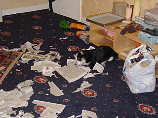 click for enlarge 640 X 480 75,2 Kb picture