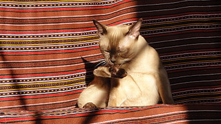 click for enlarge 1920 X 1080 895,4 Kb picture