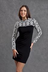 click for enlarge 597 X 900 55,3 Kb picture