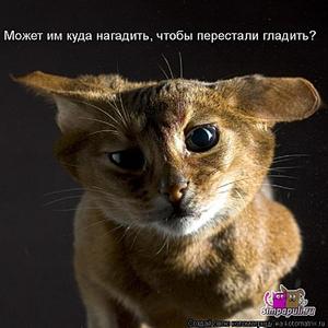 click for enlarge 750 X 750 60,0 Kb picture