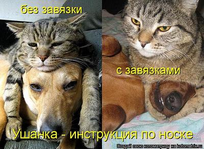 click for enlarge 750 X 550 103,2 Kb picture