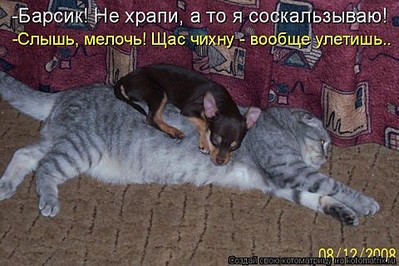 click for enlarge 480 X 320 52,0 Kb picture