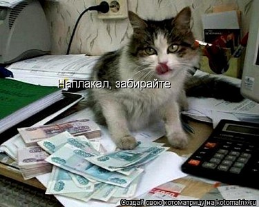 click for enlarge 480 X 384 51,5 Kb picture