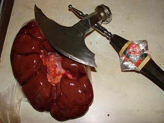 click for enlarge 1920 X 1440 439,6 Kb picture