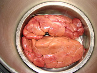 click for enlarge 1920 X 1440 485,5 Kb picture