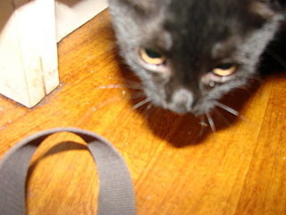 click for enlarge 1920 X 1440 273,8 Kb picture