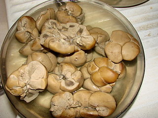 click for enlarge 1920 X 1440 503,3 Kb picture