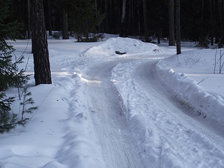 click for enlarge 1024 X 768 245,1 Kb picture