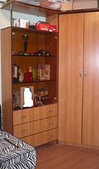 click for enlarge 1527 X 2613 299,0 Kb picture