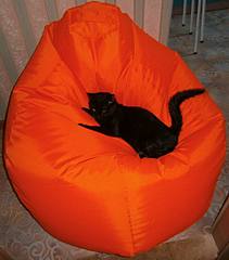 click for enlarge 1920 X 2177 345,6 Kb picture