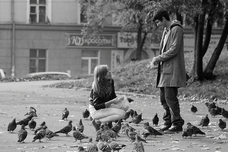 click for enlarge 1920 X 1280 227,6 Kb picture