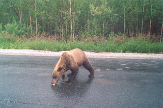 click for enlarge 1170 X 776 195,2 Kb picture