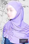 click for enlarge 173 X 260 10,7 Kb picture