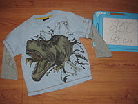 click for enlarge 1920 X 1440 557,8 Kb picture