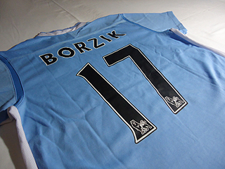 click for enlarge 800 X 600 359,6 Kb picture