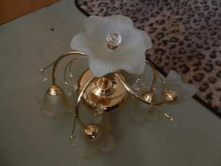 click for enlarge 1920 X 1440 113,0 Kb picture