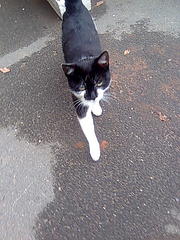 click for enlarge 600 X 800 106,3 Kb picture