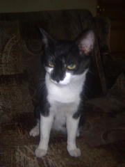 click for enlarge 1200 X 1600 118,1 Kb picture