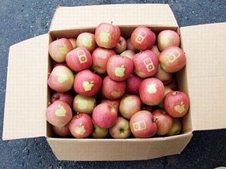 click for enlarge 450 X 337  31,6 Kb picture