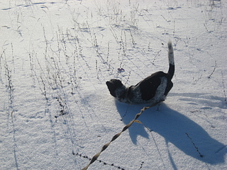 click for enlarge 1920 X 1440 357,6 Kb picture