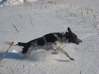 click for enlarge 1920 X 1440 991,2 Kb picture