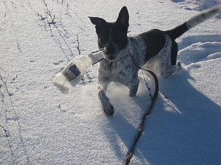 click for enlarge 1920 X 1440 305,1 Kb picture