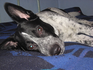 click for enlarge 1920 X 1440 267,4 Kb picture