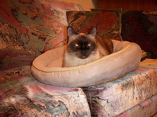 click for enlarge 1920 X 1440 619,4 Kb picture