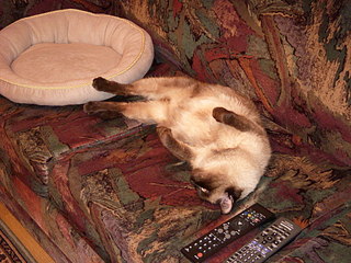 click for enlarge 1920 X 1440 644,0 Kb picture