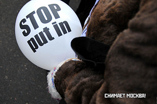 click for enlarge 900 X 598 77,9 Kb picture