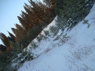 click for enlarge 604 X 453 101,4 Kb picture
