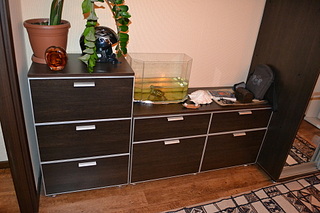 click for enlarge 1920 X 1280 699,4 Kb picture