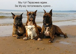 click for enlarge 604 X 431  59,5 Kb picture