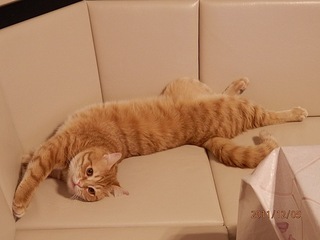 click for enlarge 604 X 453  44,8 Kb picture