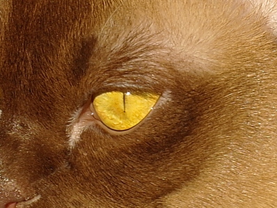 click for enlarge 842 X 631 324,1 Kb picture